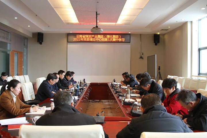 云煤（pp电子）集团开展2022年第一次党委理论学习中心组集中学习