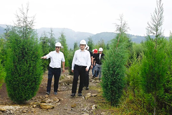 自然资源部矿产资源；；；；；ぜ嗍铀臼褂眉嗍哟Ω贝Τに镉莱恍械较确婷阂档餮新躺笊浇ㄉ枋虑