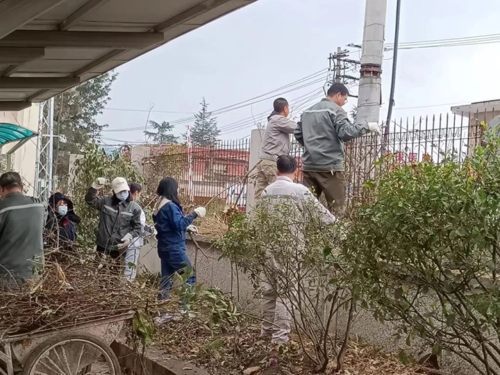 【简讯】可保煤矿公司团支部开展学雷锋自愿效劳活动