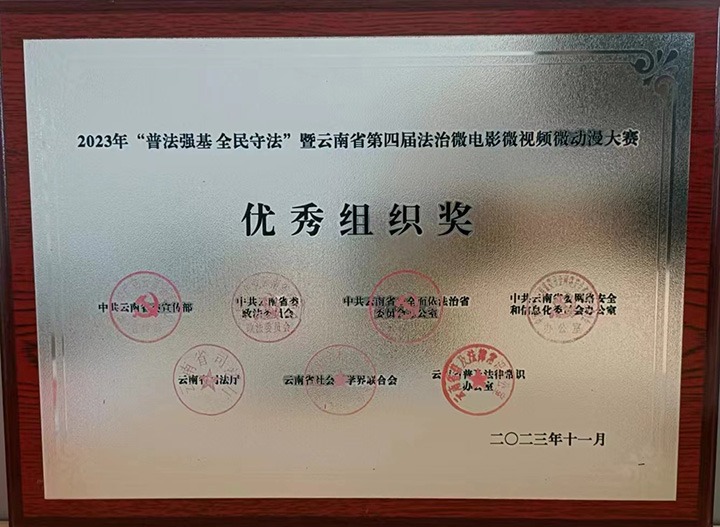 【喜报】云煤（pp电子）集团荣获“双奖”