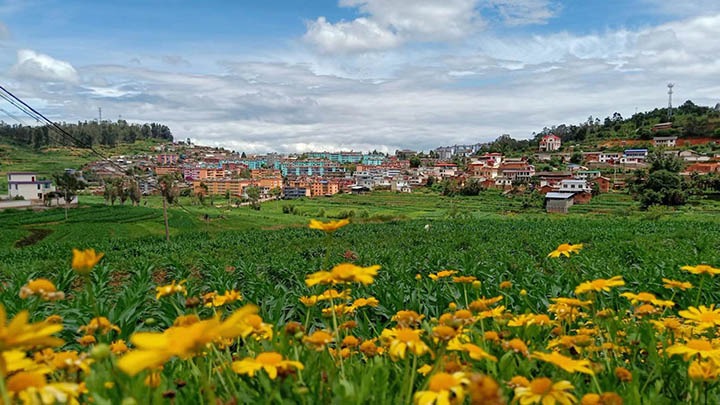 【云煤岁月】笃行不辍营生长，，，，，，砥砺奋进谱新篇——平煤故事（一）